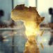 Africa Records Surge In Number Of Millionaires In 2025 – Report