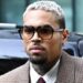 US: Court Orders Singer, Chris Brown To Pay Housekeeper $13m Over Dog Attack