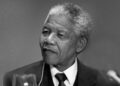 Xenophobia: ‘Grandad Wanted Rule Of Law, Not Mob Justice’ — Ndileka Mandela