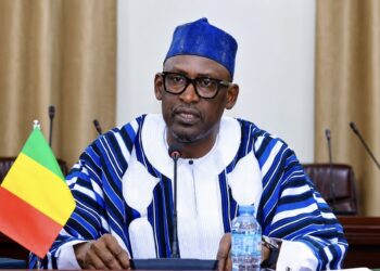 Mali Rejects Rumored US Troop Deployment Plan, Vows To Defend Sovereignty
