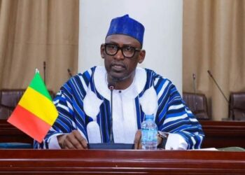 Mali Rejects Rumored US Troop Deployment Plan, Vows To Defend Sovereignty