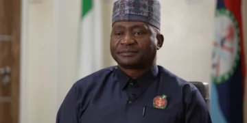 Nigeria: Defence Minister Dismisses Resignation Rumours After Meeting With President