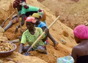 Cameroon Launches Tax Recovery Drive To Reclaim Billions From Gold Sector