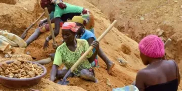 Cameroon Launches Tax Recovery Drive To Reclaim Billions From Gold Sector