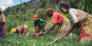 AfDB To Invest $400m In Rwanda’s Agriculture Sector Over Next Three Years