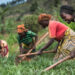 AfDB To Invest $400m In Rwanda’s Agriculture Sector Over Next Three Years