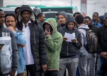 Netherlands: Nigeria Ranks Sixth Among Top 10 Countries Of Asylum Seekers