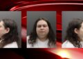 US: Woman Charged With Plot To Bomb New York State Capitol