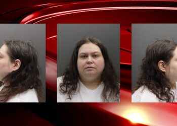 US: Woman Charged With Plot To Bomb New York State Capitol