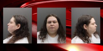 US: Woman Charged With Plot To Bomb New York State Capitol