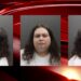 US: Woman Charged With Plot To Bomb New York State Capitol