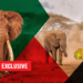 Wildlife: Africa’s Elephants Are Still In Danger, But The Real War Should Be Against Traffickers