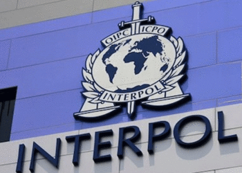 AI Responsible For Half Of Reported Cybercrimes In Africa — Interpol