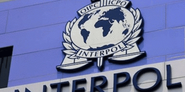 AI Responsible For Half Of Reported Cybercrimes In Africa — Interpol