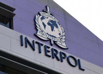 AI Responsible For Half Of Reported Cybercrimes In Africa — Interpol