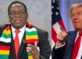 US Cuts Funding For Zimbabwe’s Health Programmes Over Data-Sharing Issue