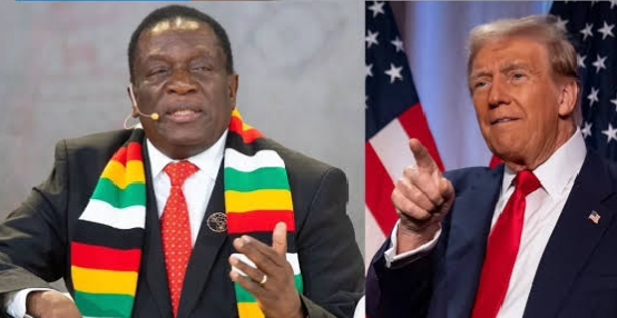 L-R: Zimbabwe President, Emmerson Mnangagwa and US counterpart, Donald Trump