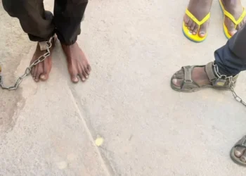 South Africa: Chained Patients Rescued, Pastor Arrested In Illegal Rehab Centre