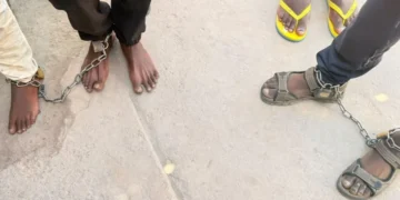 South Africa: Chained Patients Rescued, Pastor Arrested In Illegal Rehab Centre